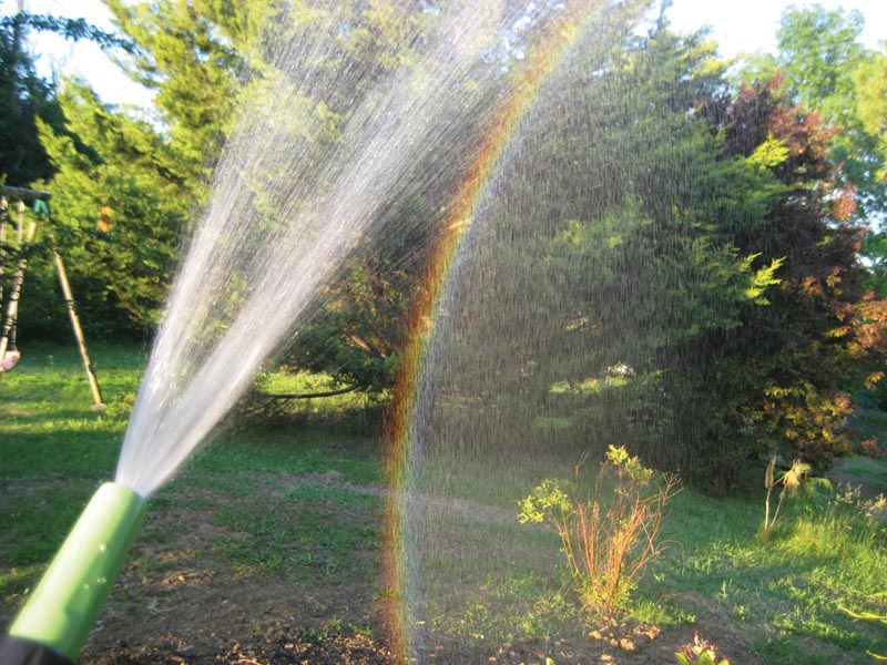 Figure 2. A rainbow from a water sprinkler. Photo by Stephanie Gimenes.