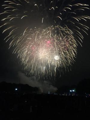 Fireworks Over the Lincoln Memorial