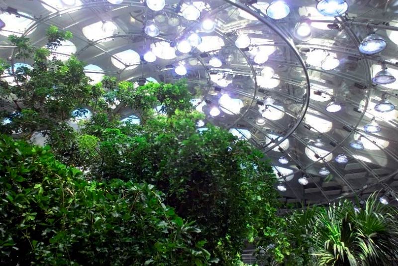 Looking up at the California Academy of Sciences Biosphere.