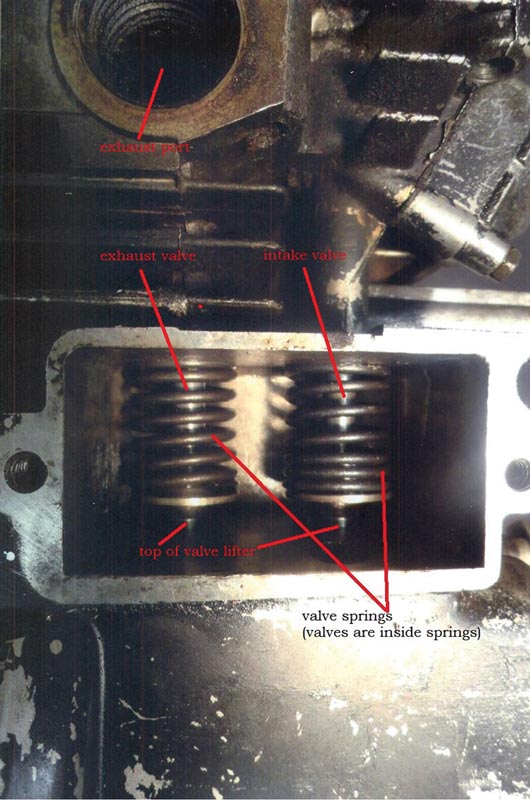  The valve springs, with the stems of the valves visible inside the coils. The exhaust valve lies on the left, with the exhaust port above it, and the intake valve lies on the right.