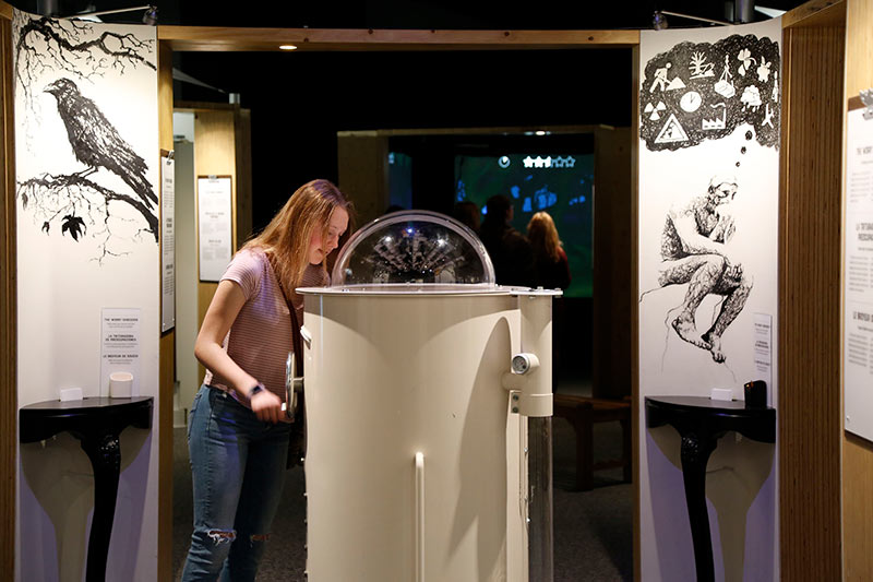 An exhibit visitor puts the Worry Shredder to work. Image courtesy of the Science Museum of Minnesota. Photo by Aria Kovalovich.