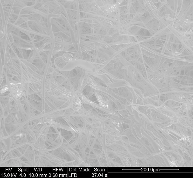 Scanning electron microscopy image of an N95 mask. Image by Albert Nazeeri.