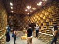 The anechoic chamber was a lot of fun, if disconcerting